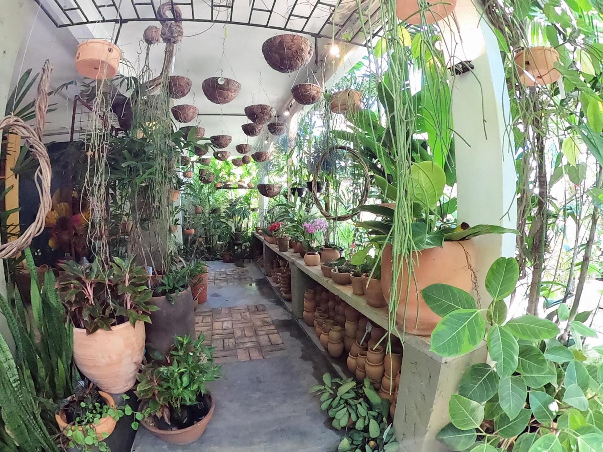 Residencial Casa Flor Atelier Botanico, Ponta Negra Apartment Натал Екстериор снимка