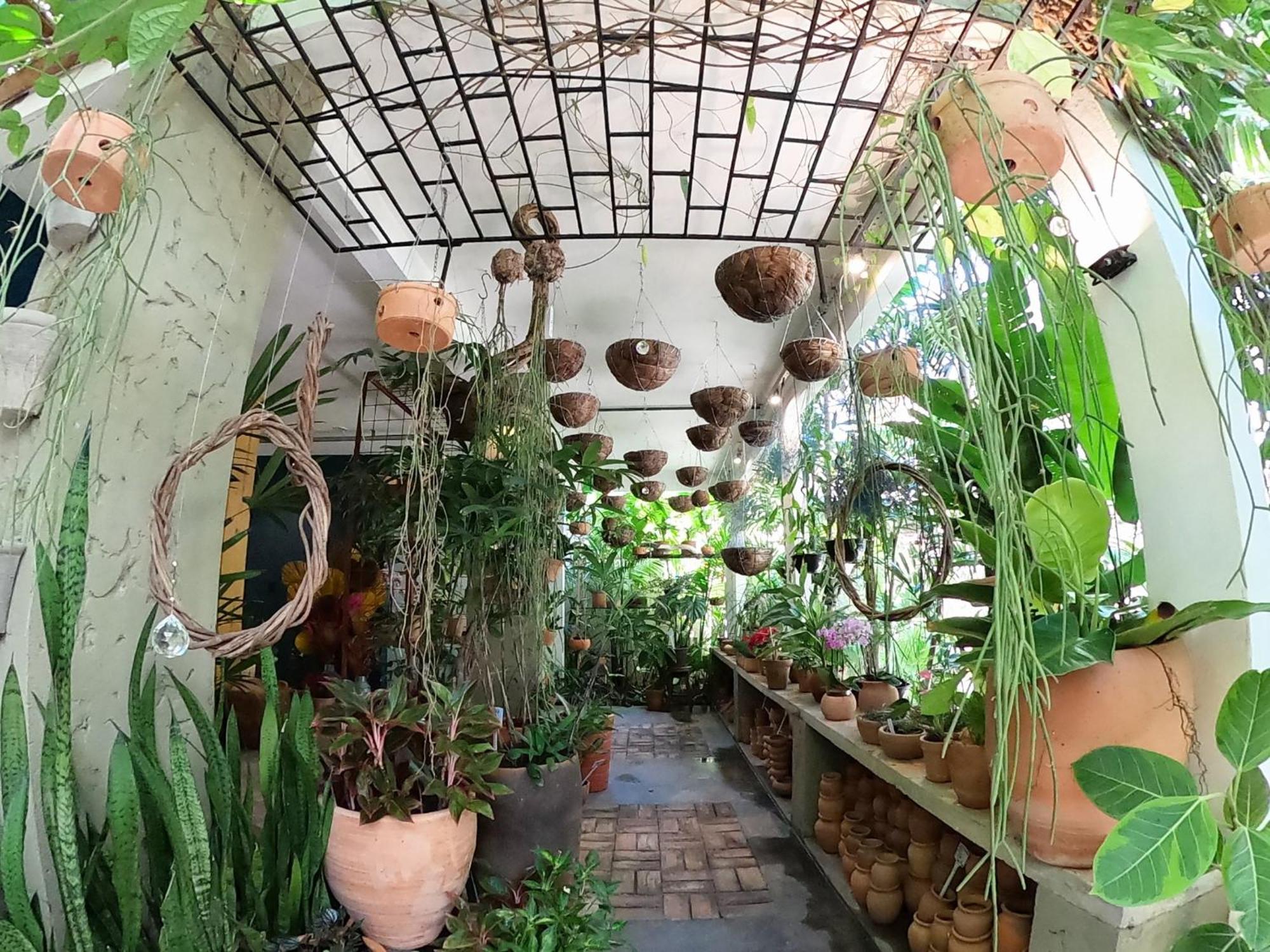 Residencial Casa Flor Atelier Botanico, Ponta Negra Apartment Натал Екстериор снимка