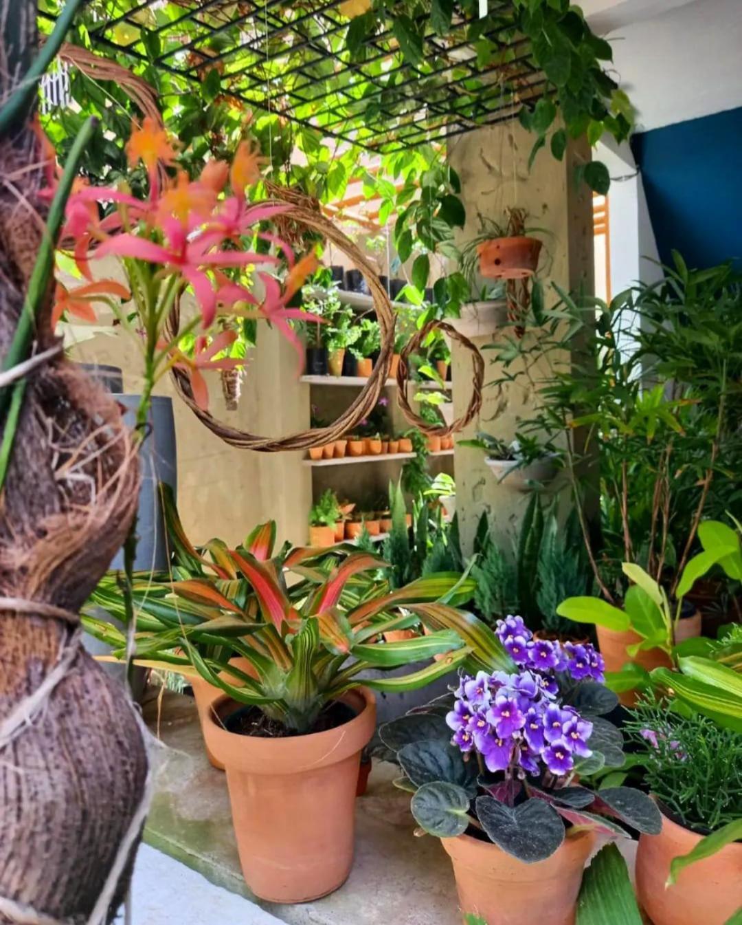 Residencial Casa Flor Atelier Botanico, Ponta Negra Apartment Натал Екстериор снимка
