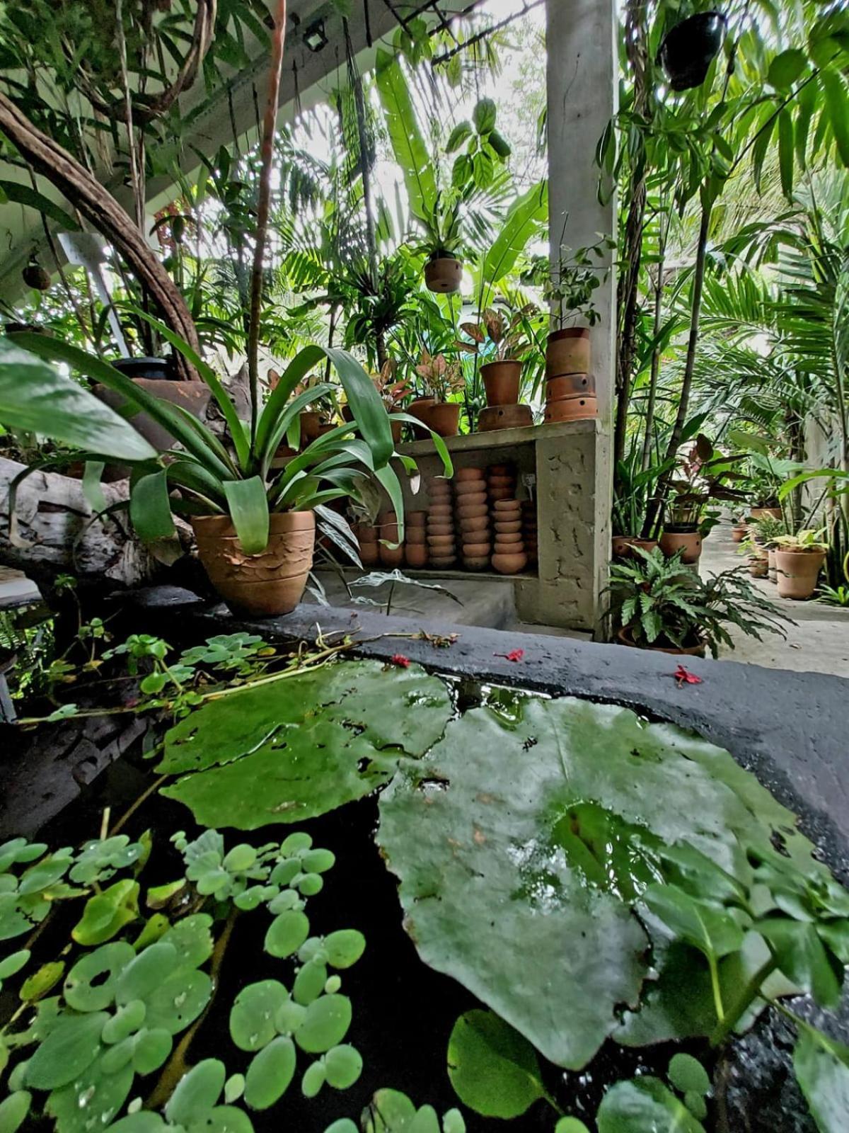Residencial Casa Flor Atelier Botanico, Ponta Negra Apartment Натал Екстериор снимка